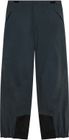 Baldface Pro Gore-tex Pant ​