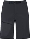 Men's Badile Shorts II