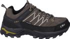 Rigel Low Trekking Shoes WP
