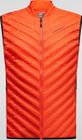 Alya Vest Men