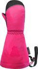 Wes R-tex XT Mitten