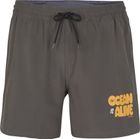 Packable 15'' Hybrid Shorts