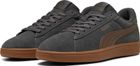 Puma Smash 3.0