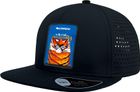 Cap BRO