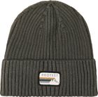 Prtworsley Beanie