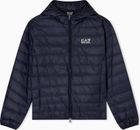 Train Core ID M Down Light Jacket Hoodie CC - Train Core ID M Down Light Jacket Hoodie CC