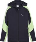Evostripe Full-zip Hoodie DK B