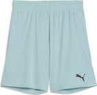 Teamgoal Shorts Jr