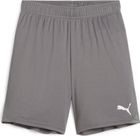 Teamgoal Shorts
