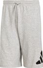 Essentials BIG Logo French Terry Shorts