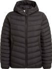 Compresslite IX Hooded Jacket