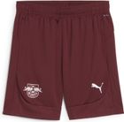 RBL Training Shorts