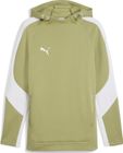 Teamevostripe Hoody
