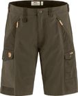 Abisko Shorts M