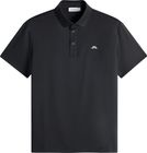 Bridge Polo