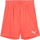 Teamgoal Shorts Jr