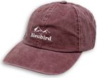 Roadie Mountain Cap