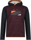 MAN Sweat FIX Hood