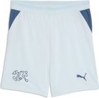 SFV Shorts Replica Jr