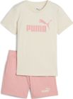 Essentials No.1 Logo Tee and Shorts Set PS