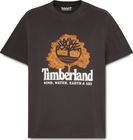 Mens Wwes Short Sleeve Front Graphic Tee