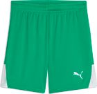 teamLIGA26 Shorts