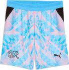 SFV Shorts Replica GK Jr