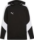 Teamevostripe Hoody