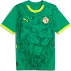 FSF Away Jersey Replica