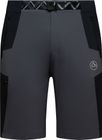 West Crest Shorts Men