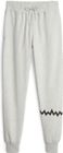 Hoops Team Sweat Pant