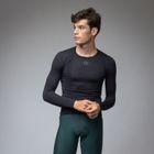 Merino