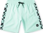 Cali Panel 14'' Swim Shorts