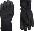 Type Ski Gloves R-shell DRY
