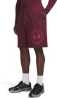 Rival LW Graphic Shorts