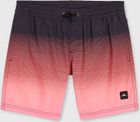 Jack O'neill Cali Gradient 14'' Swim Shorts