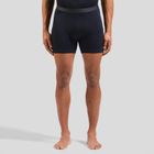 The Natural Merino 160 Sports Underwear Boxers