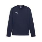 Teamgoal Training Sweat
