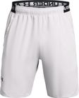 Vanish Woven 8in Shorts