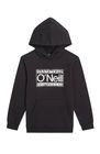 O'neill Cali Hoodie
