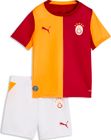 GSK Home Minikit
