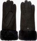 Apollo BAY Gloves