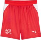 SFV Shorts Replica Jr