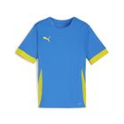 Teamgoal Matchday Jersey jr