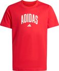 Collegiate Graphic T-shirt Junior
