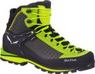 MS Crow GTX