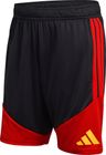 Belgium 26 Tiro Training Shorts Men