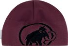 Tweak Beanie