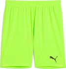 Teamgoal Shorts