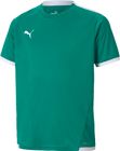 Teamliga Jersey Jr
